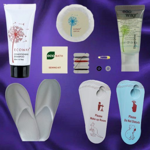 Hotel Amenities